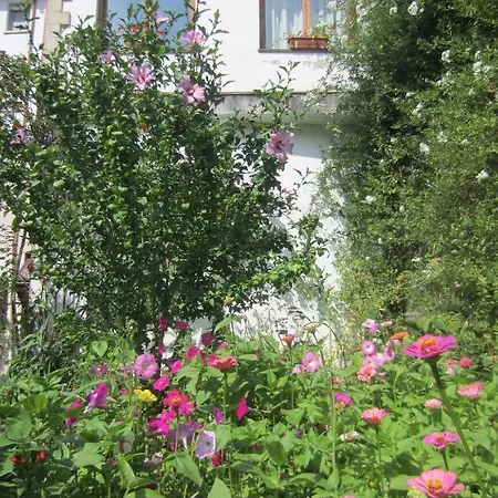 Toscana اوخيدو